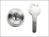 �f�B���v���L�[